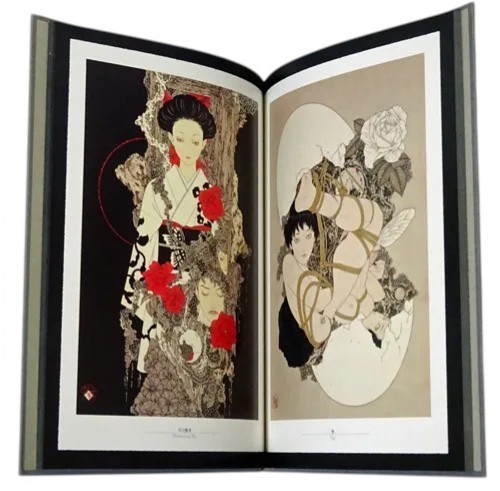 Takato Yamamoto Art Book 5 Set Pan Exotica Collection New Edition Japanese New