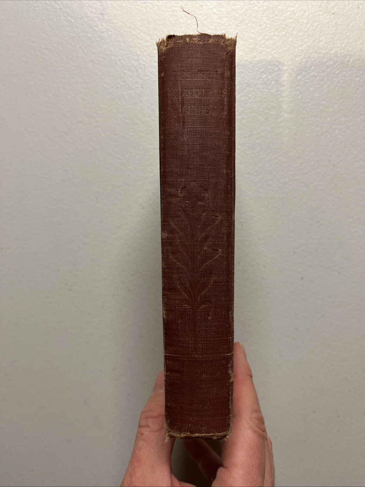 Mrs Joe’s Housekeeping Guide: First Aids for Every Known Household Use, 1909 HC