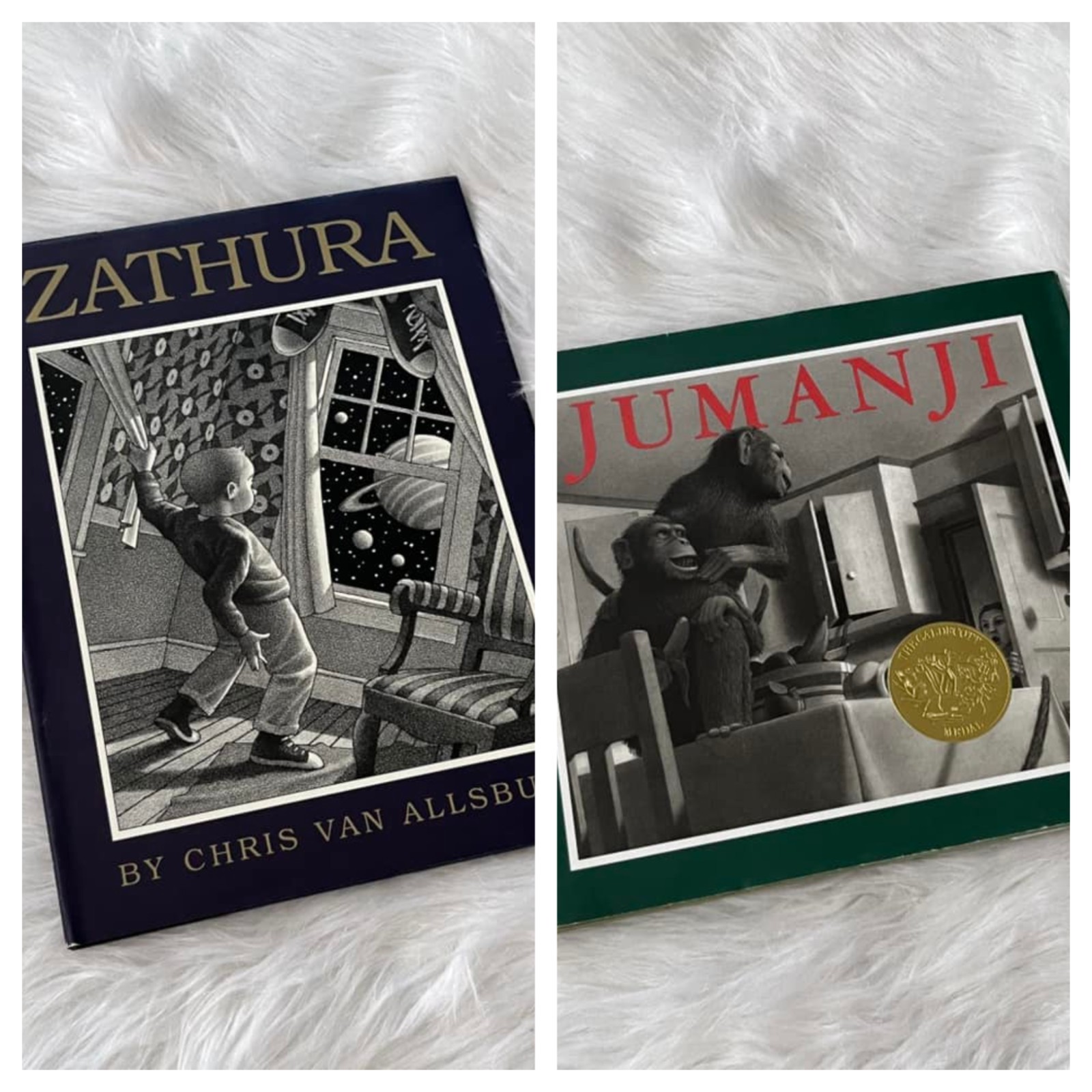 Jumanji & Zathura Chris Van Allsburg Hardback Book Lot