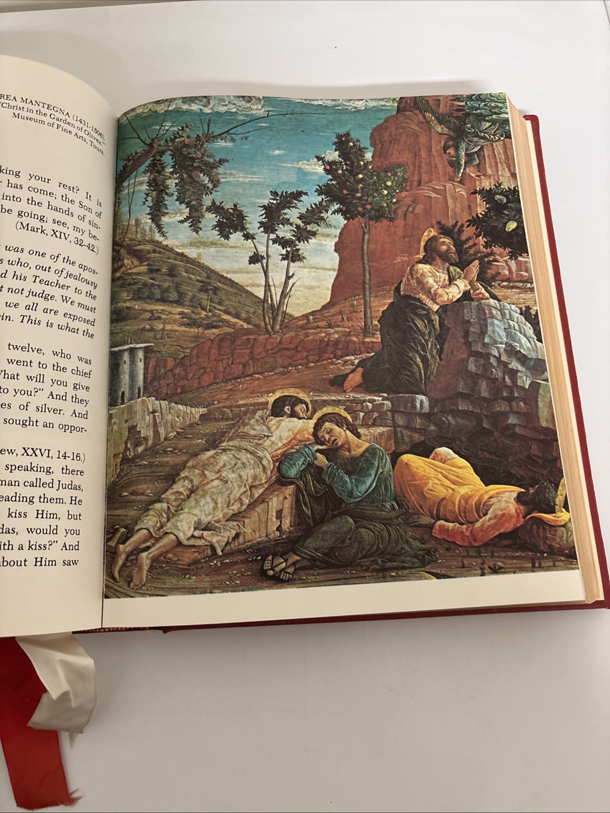 Holy Bible NAB Red. The New American Bible. Catholic Press World