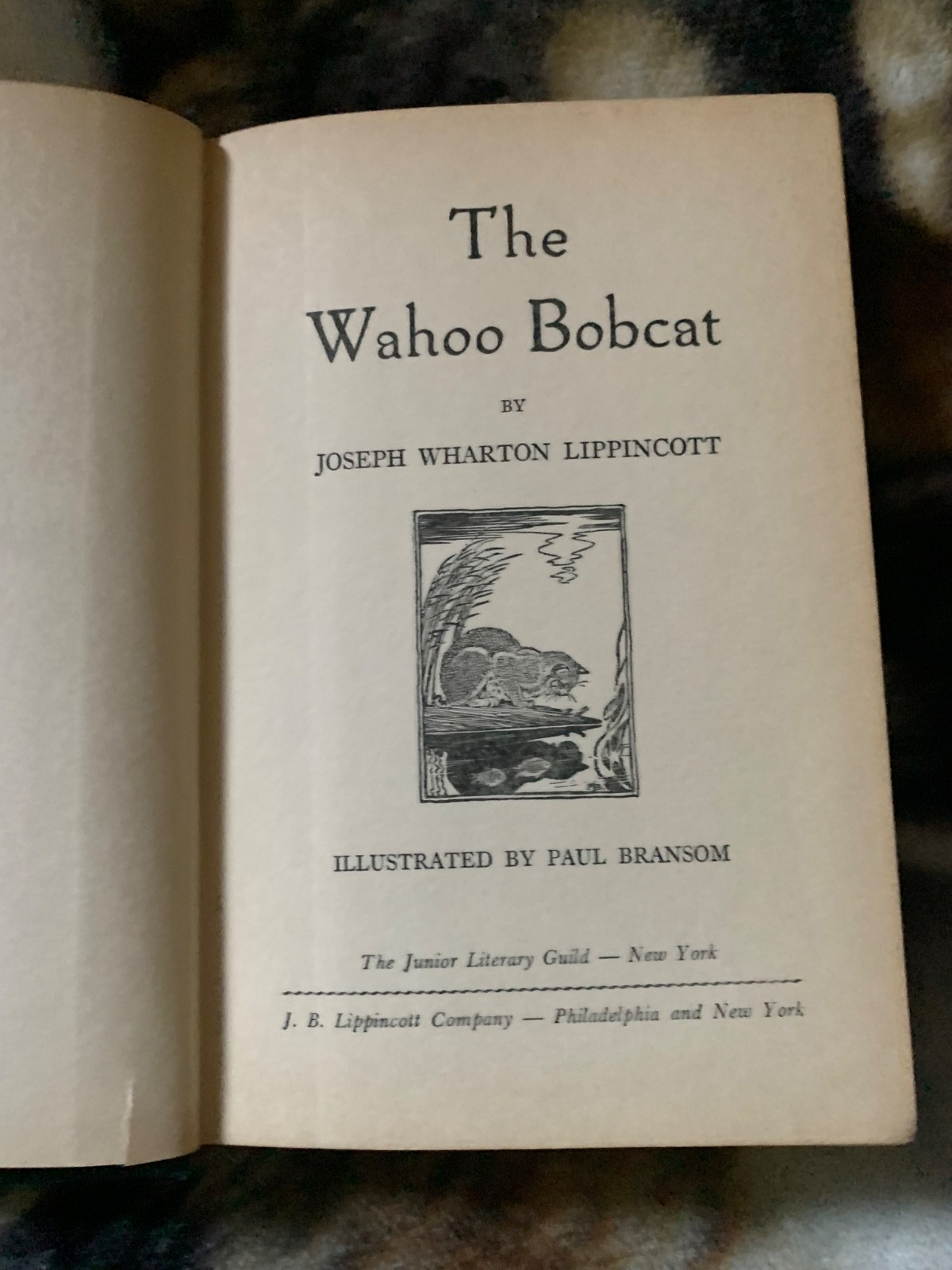 Wahoo Bobcat by Joseph W. Lippincott (Hardcover) – Vintage 1st Edition 1950
