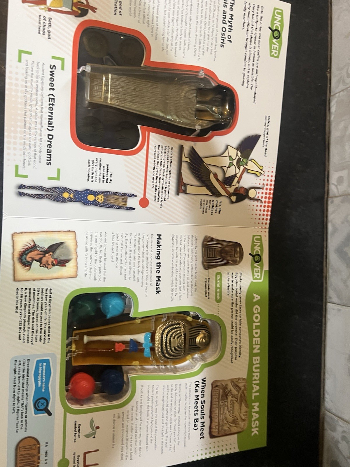 Uncover an Egyptian Mummy ,Large Book 12”