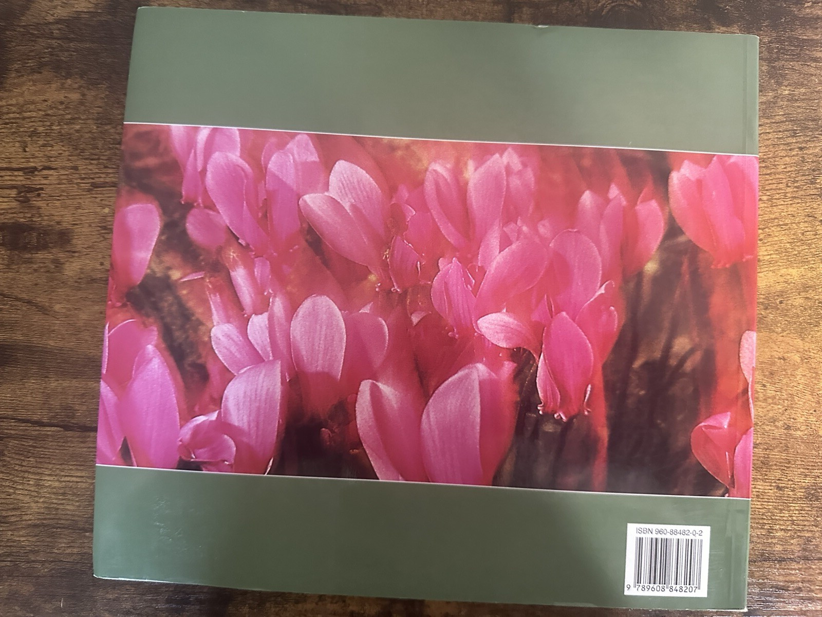 Greek and English Nature Pictures by Andrea Bonetti – 129 pages Read details