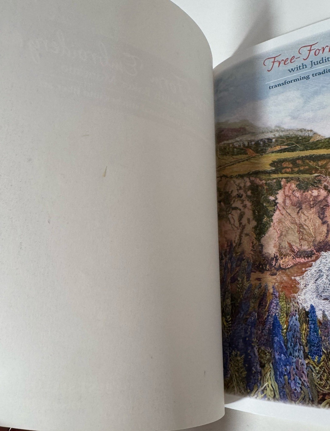 Free Form Embroidery with Judith Baker Montano Transforming Traditional Stitches