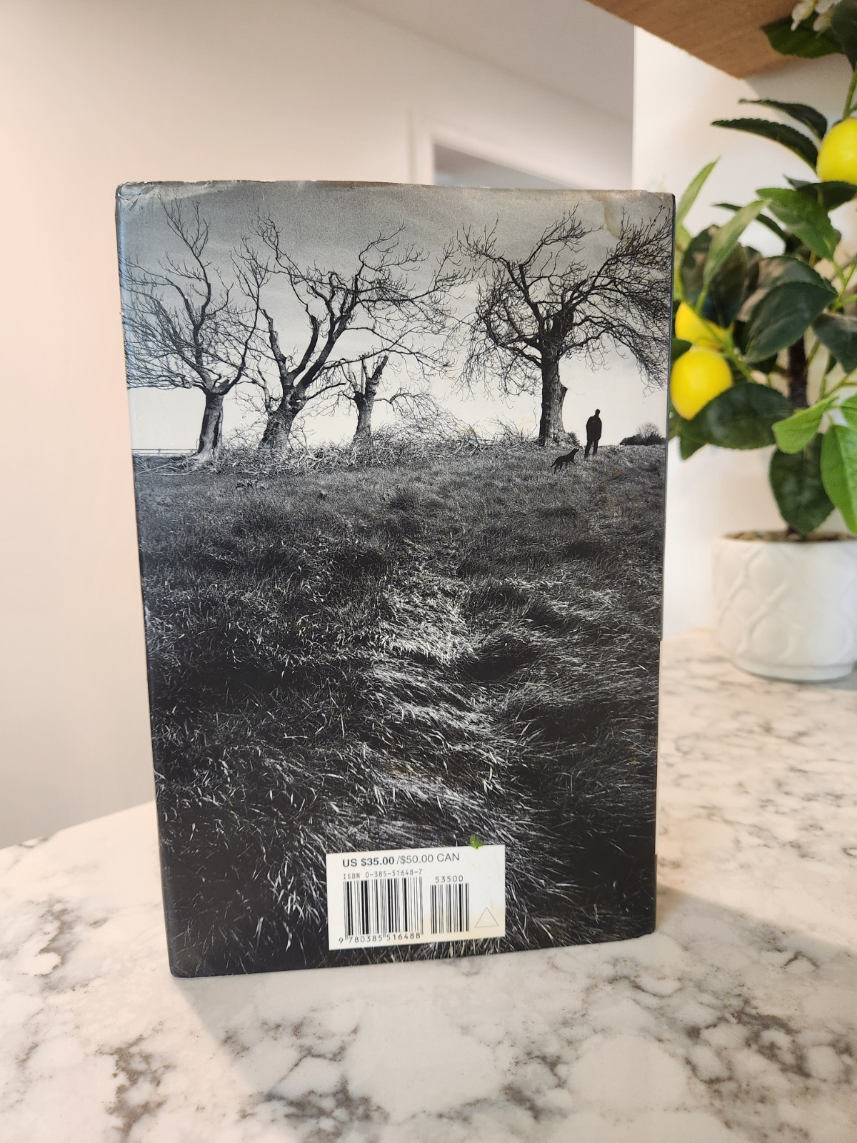Salem’s Lot by Stephen King (2005, Hardcover) Illustrated First Edition