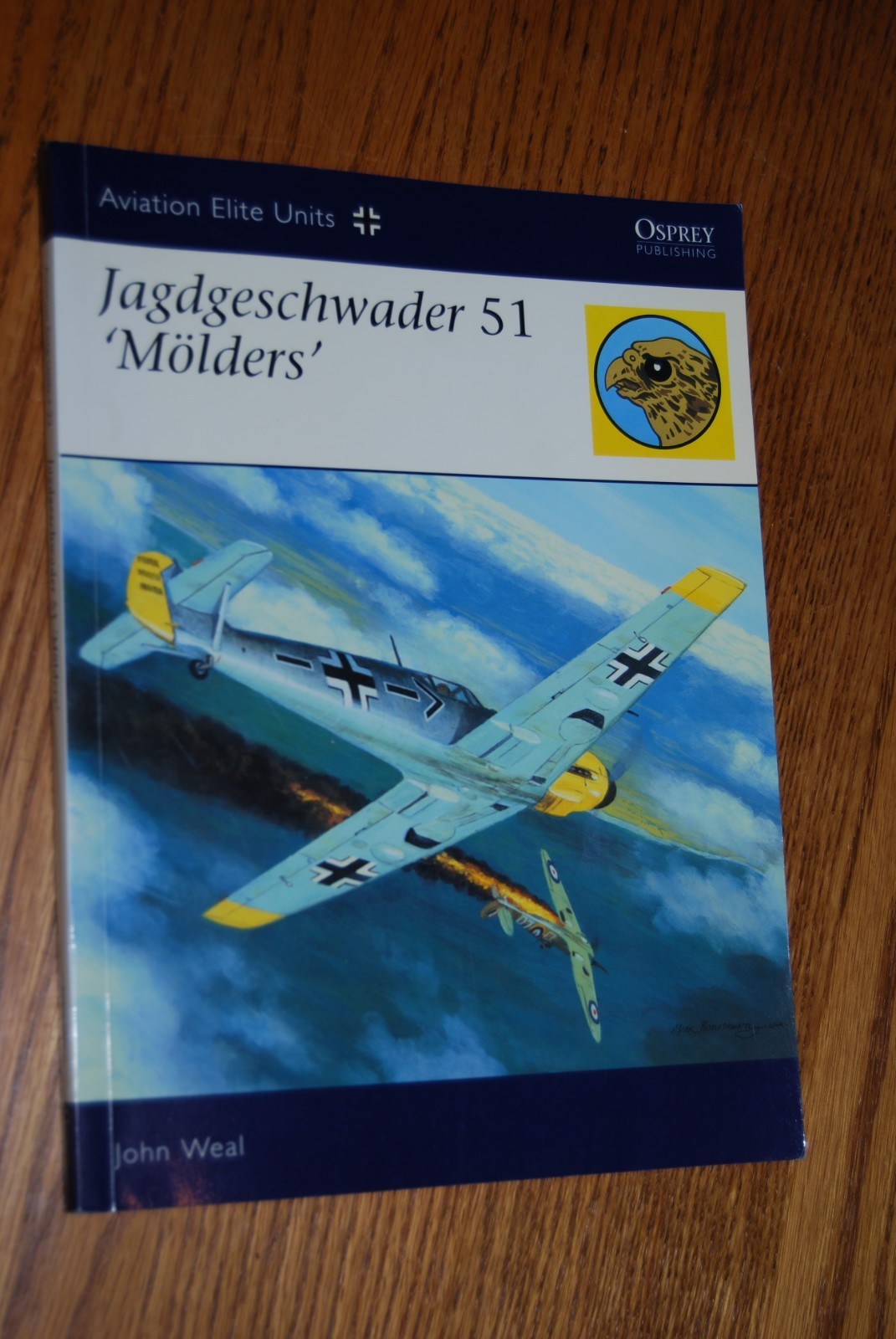 OSPREY WWII Aviation Elite Combat histories renowned fighter/bomber units CHOICE