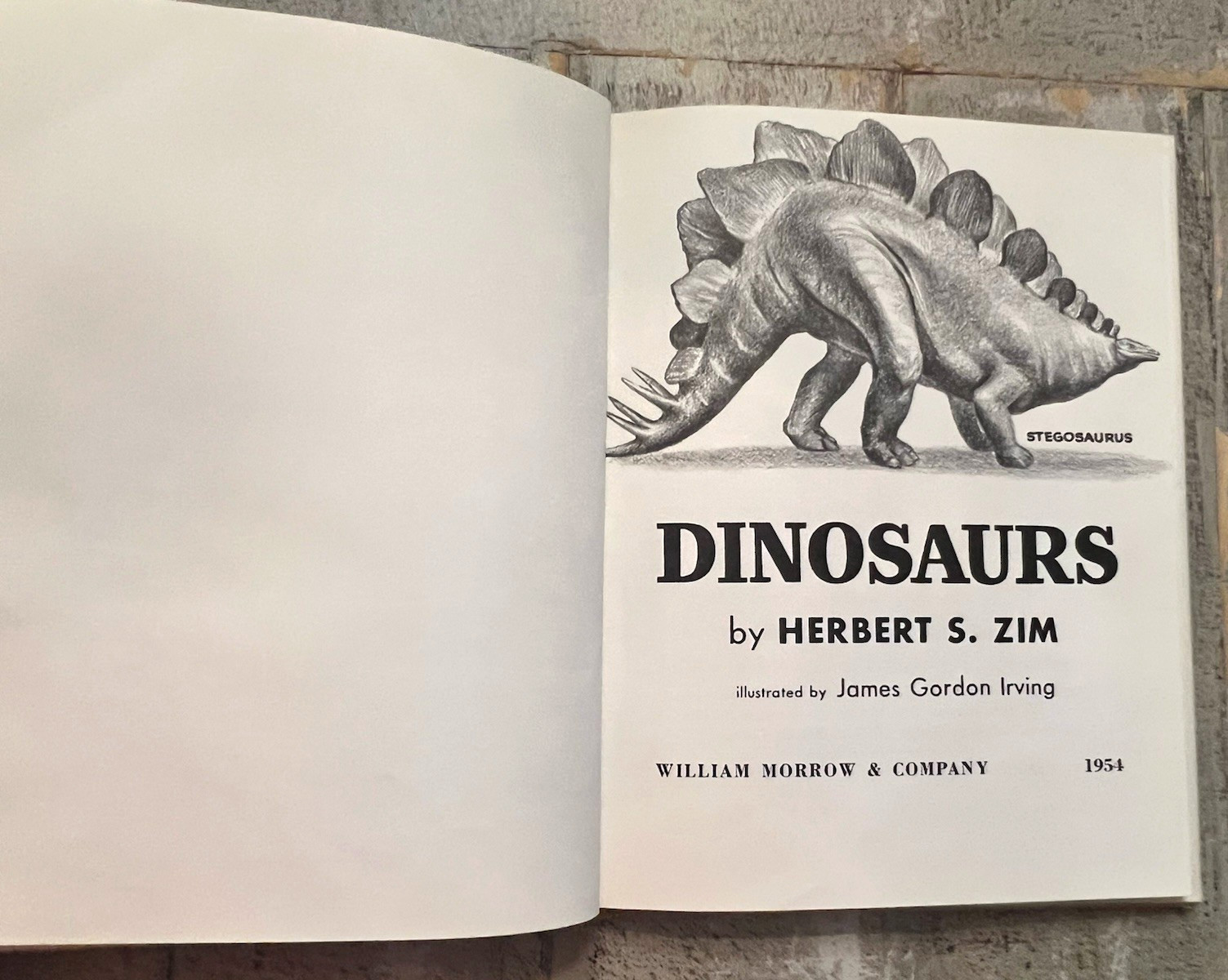 Dinosaurs by Herbert S. Zim Illus. by James Gordon Irving c.1976 Library Edition