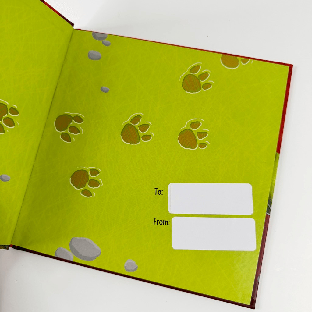 Adam Wallace’s How to Catch a Dinosaur book (Hardcover)