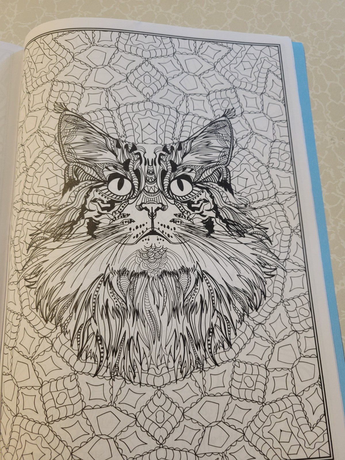 CAT COLORING – 32 Inspiring Designs for Adults -Relax & Enjoy -Escape & Breathe