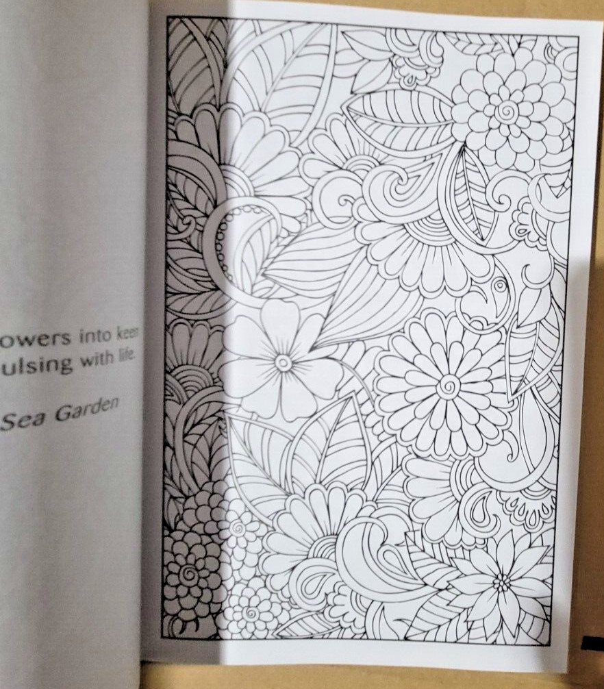 FLYING COLORS – Let Your Imagination Take Flight!- Vol. 23 -Adult Coloring Book