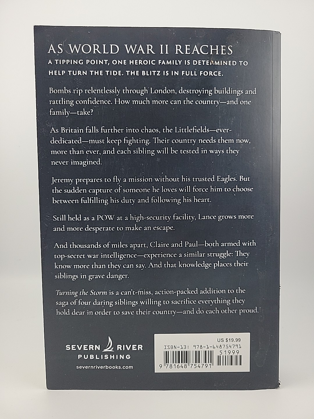 Turning the Storm By Lee Jackson (Paperback)