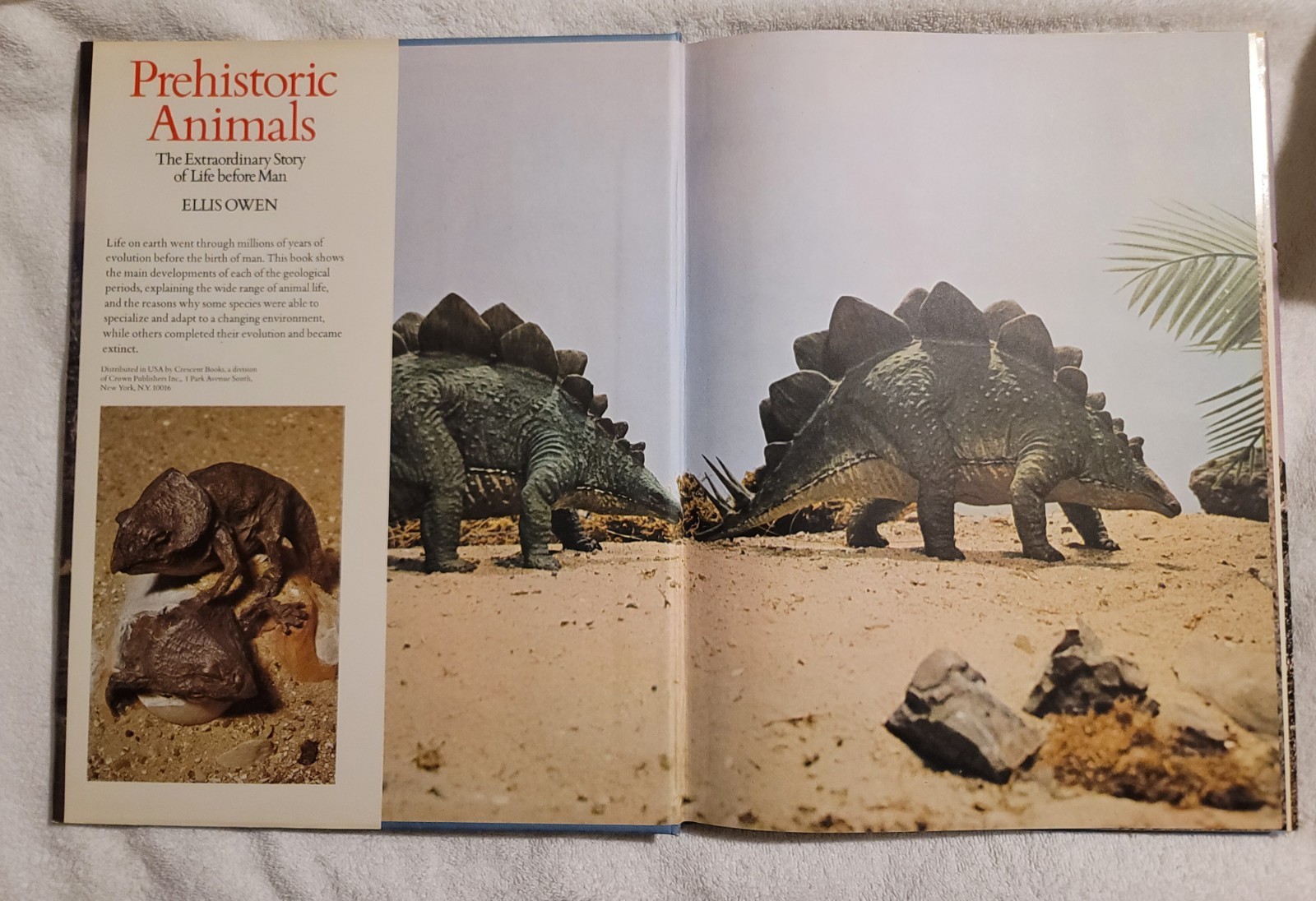 Prehistoric Animals The Extraordinary Story Of Life Before Man – Ellis Owen 1975
