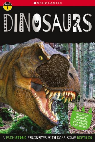 Dinosaur – paperback, 9781789479850, Make Believe Ideas Ltd