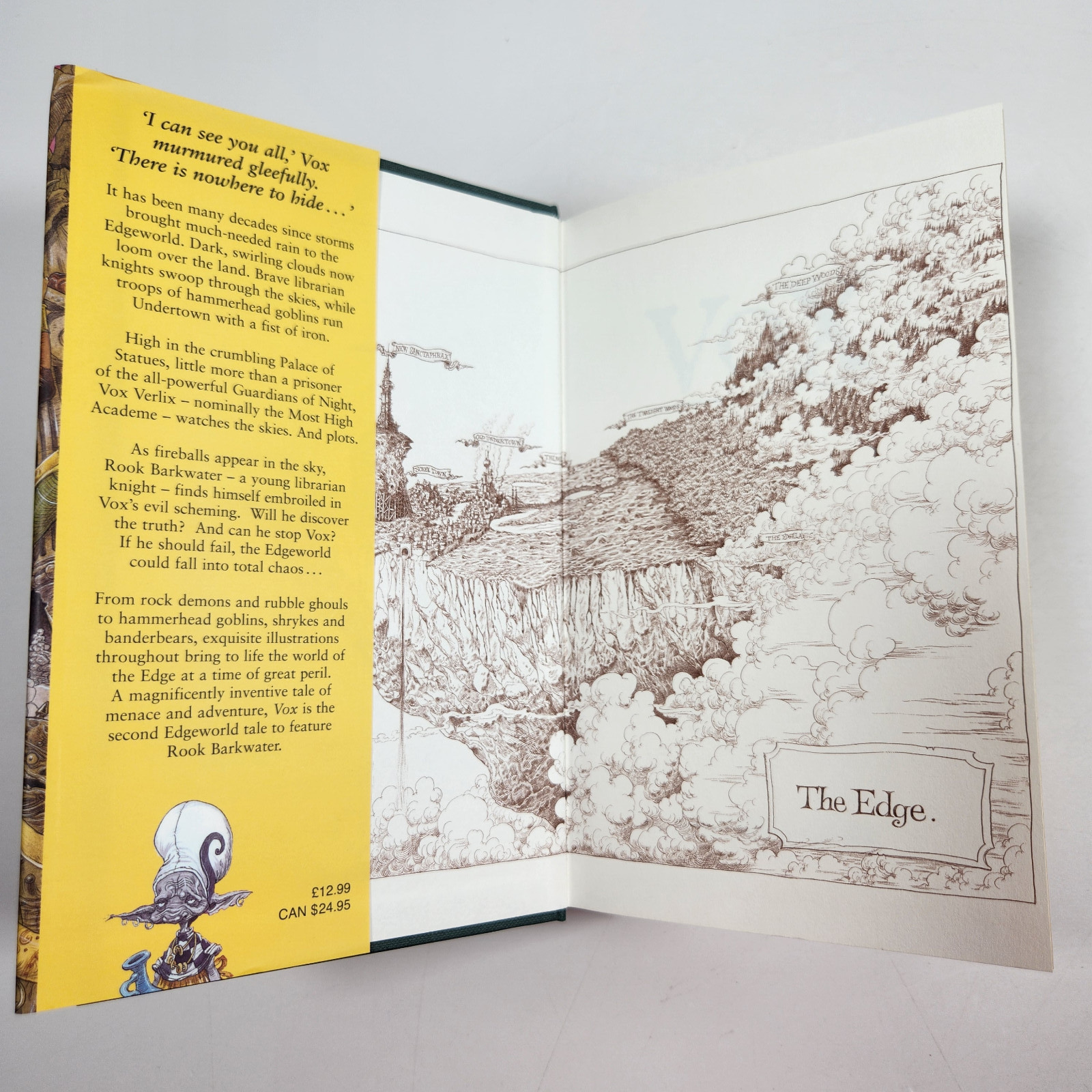 DUAL SIGNED Vox Paul Stewart Chris Riddell UK 1st Ed Sky Pirates Fantasy HC