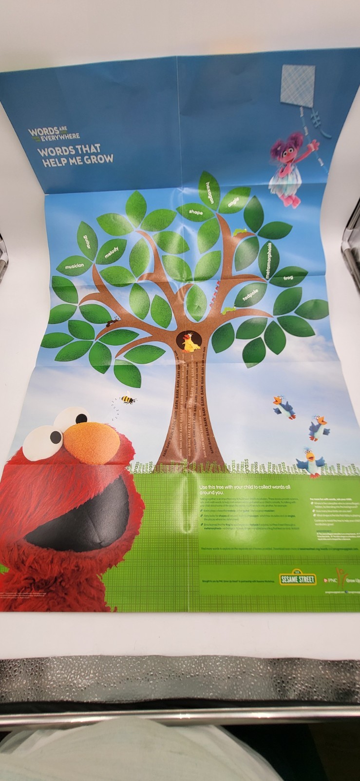 CTW Sesame Street Words Are Everywhere Learning Kits Bilingual Books 2 sets