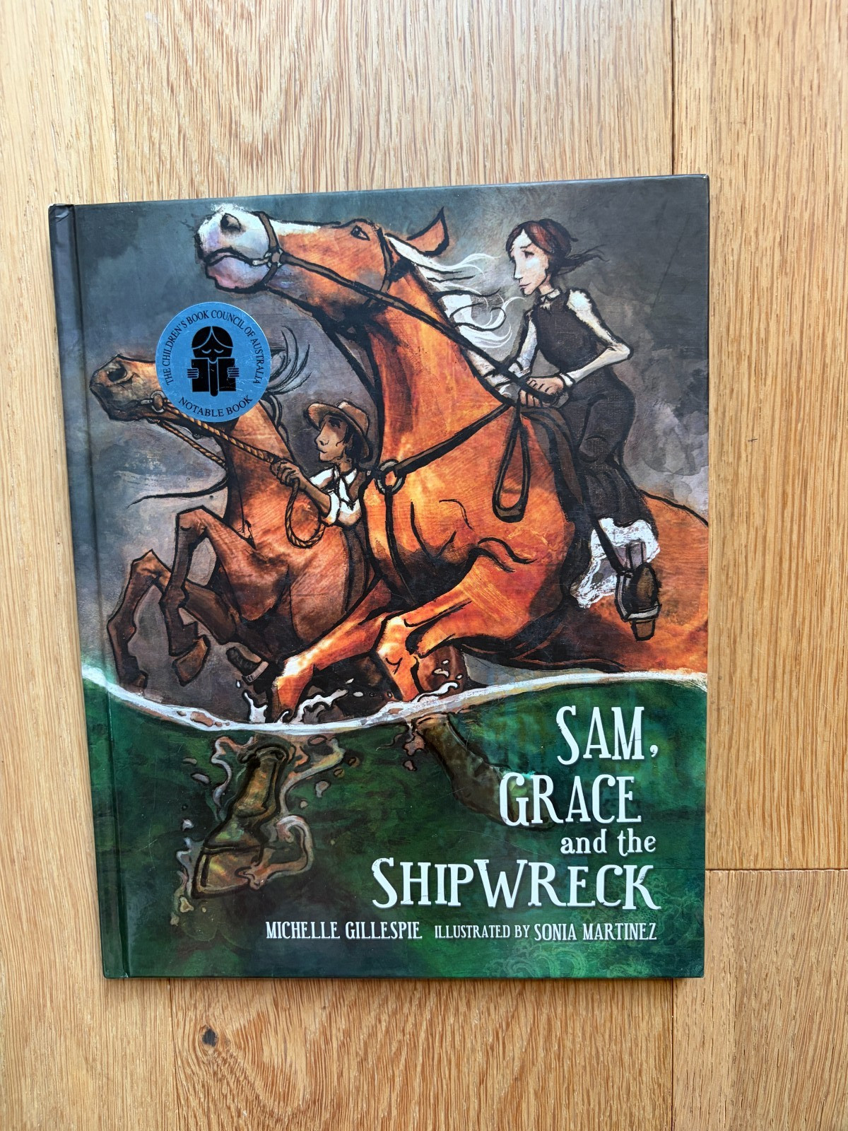 Sam Grace and the Shipwreck Michelle Gillespie Sonia Martinez 2011 HARDCOVER