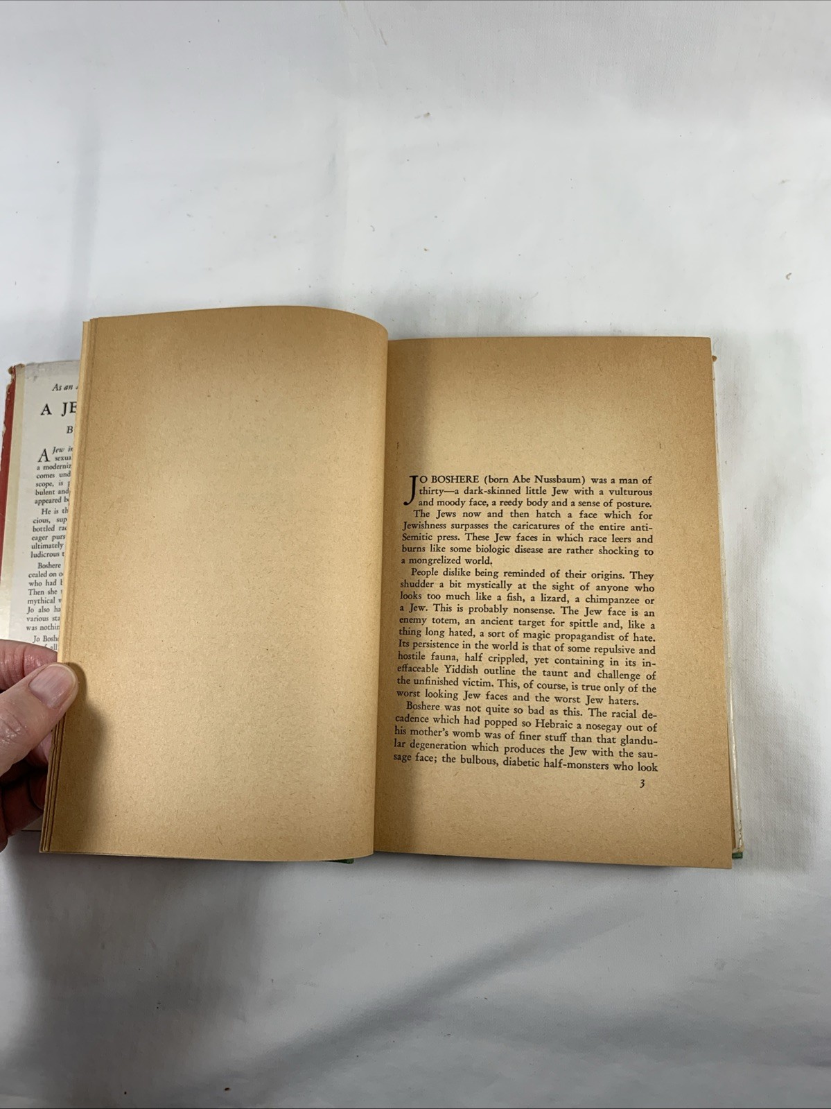 1940 A Jew in Love by Ben Hecht 12th Edition