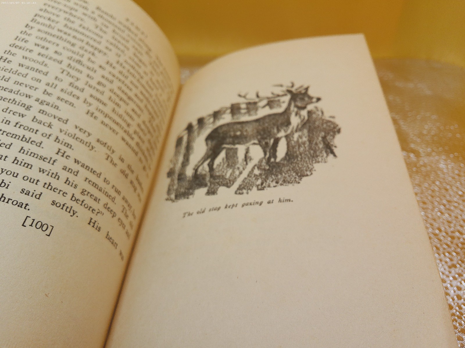 Bambi Felix Salten Thrushwood Grosset Dunlap 1929 HB w DJ book Kurt Wiese