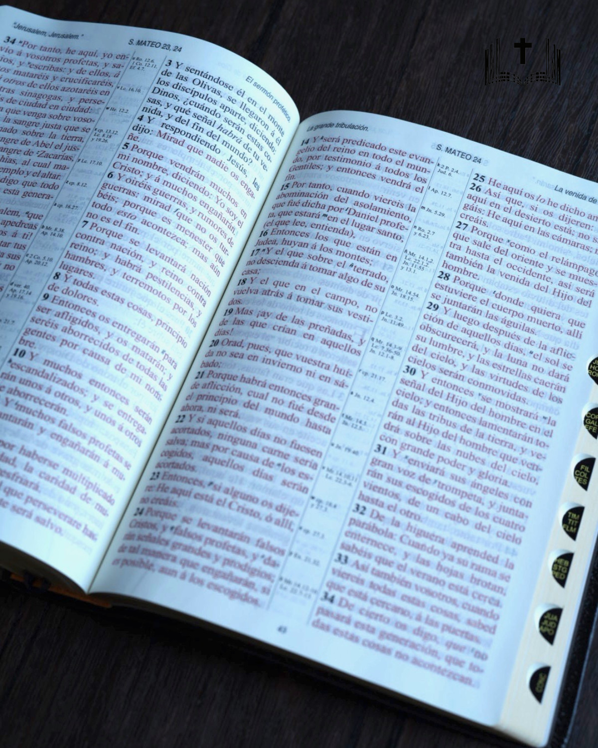 Biblia Antigua 1909, Negra Piel Fabricada, Letra Gigante 14 Pts Con Indice