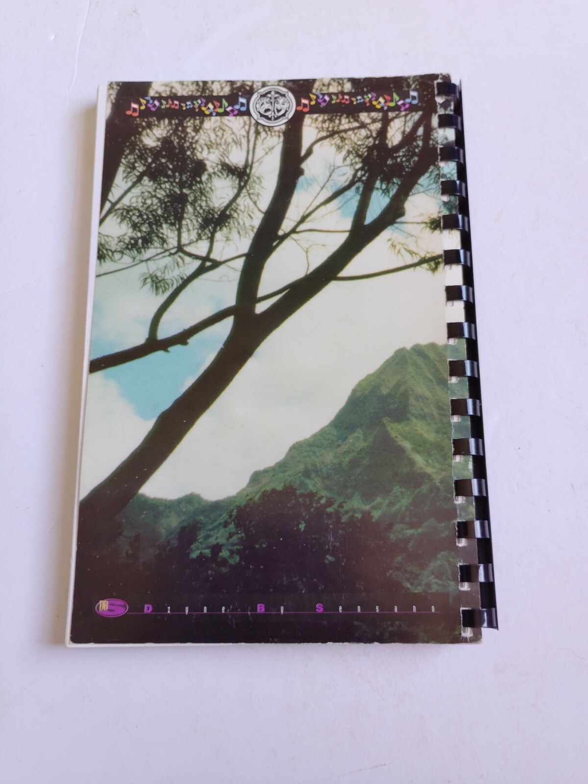 Hawaii Castle Performing Arts Center friends & Celebrities Cookbook ll