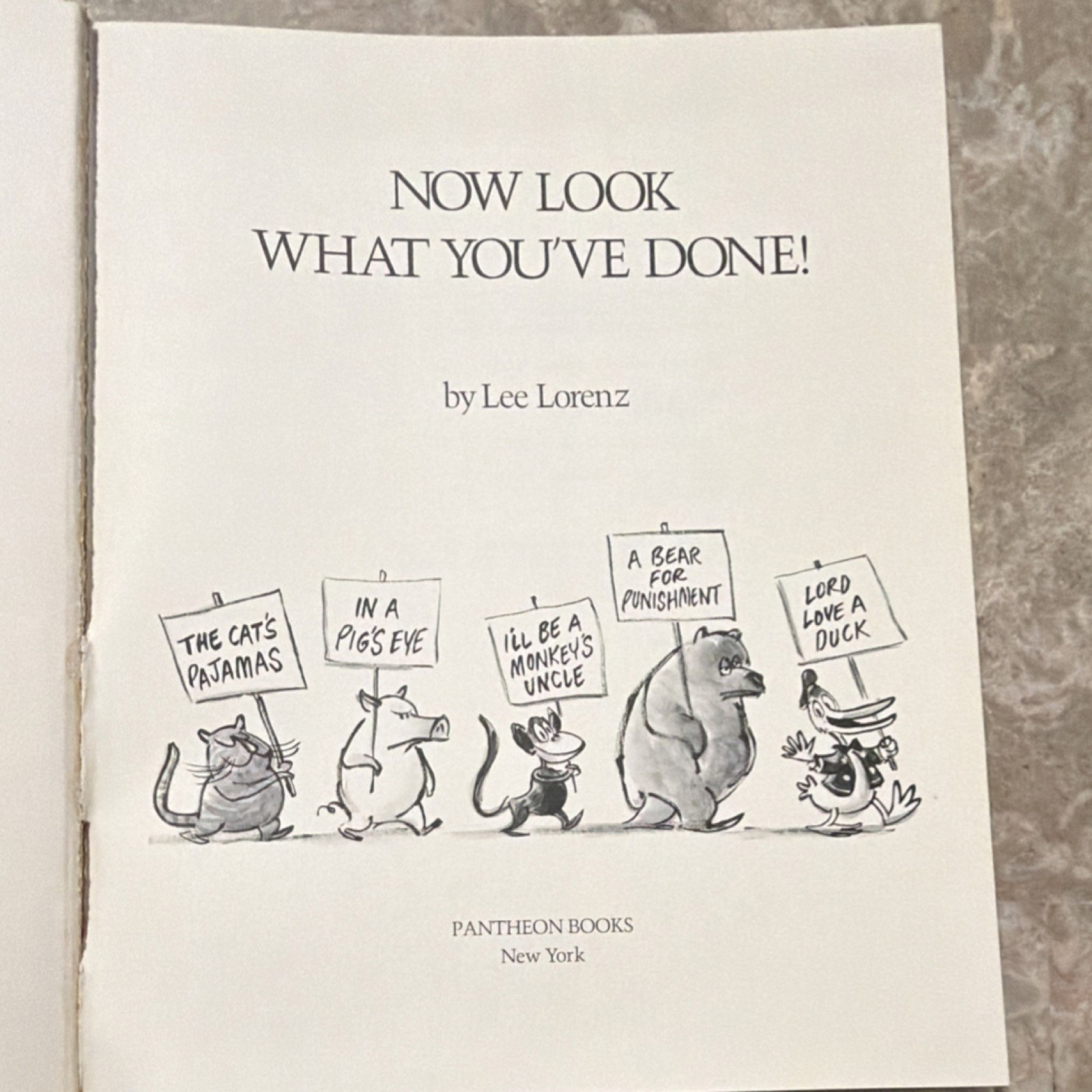 Pantheon Books Now Look What You’ve Done! Lee Lorenz Hardcover 1977 Illustrated
