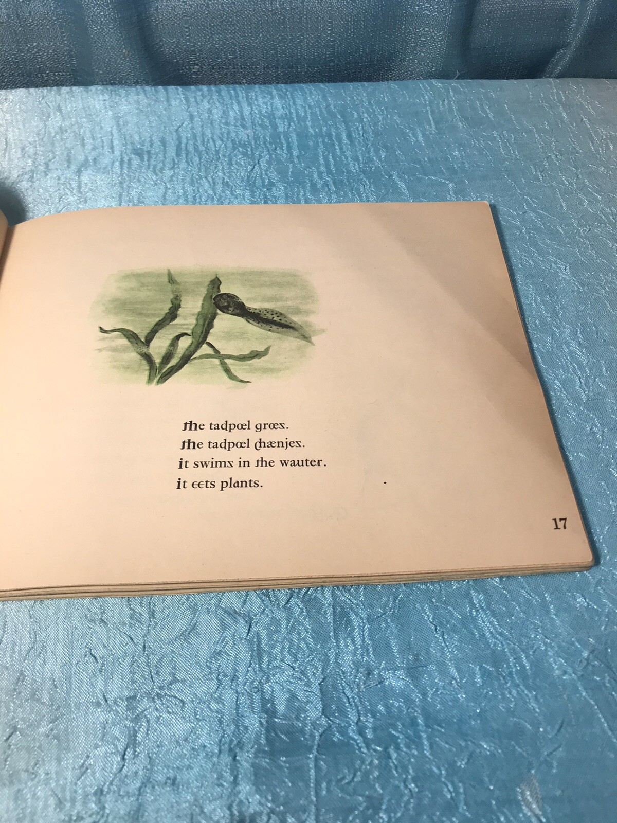 What Is A Frog Vintage 1st Edition Paperback Strange Edition whot iz a frog?