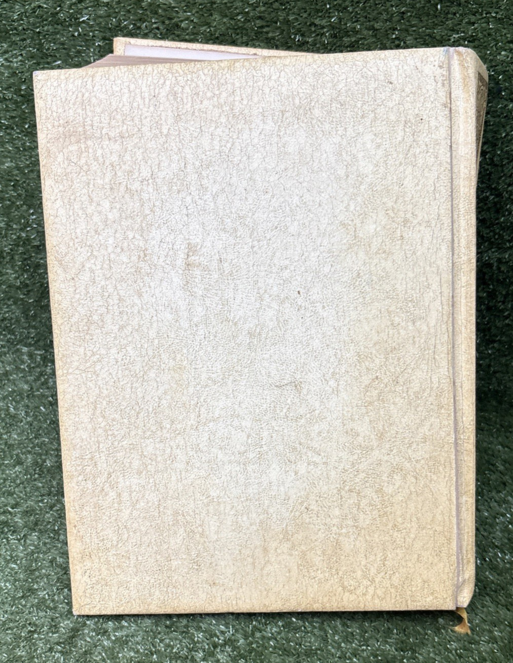 Vintage Holy Bible Family King James Version 1968 Illustrations Large