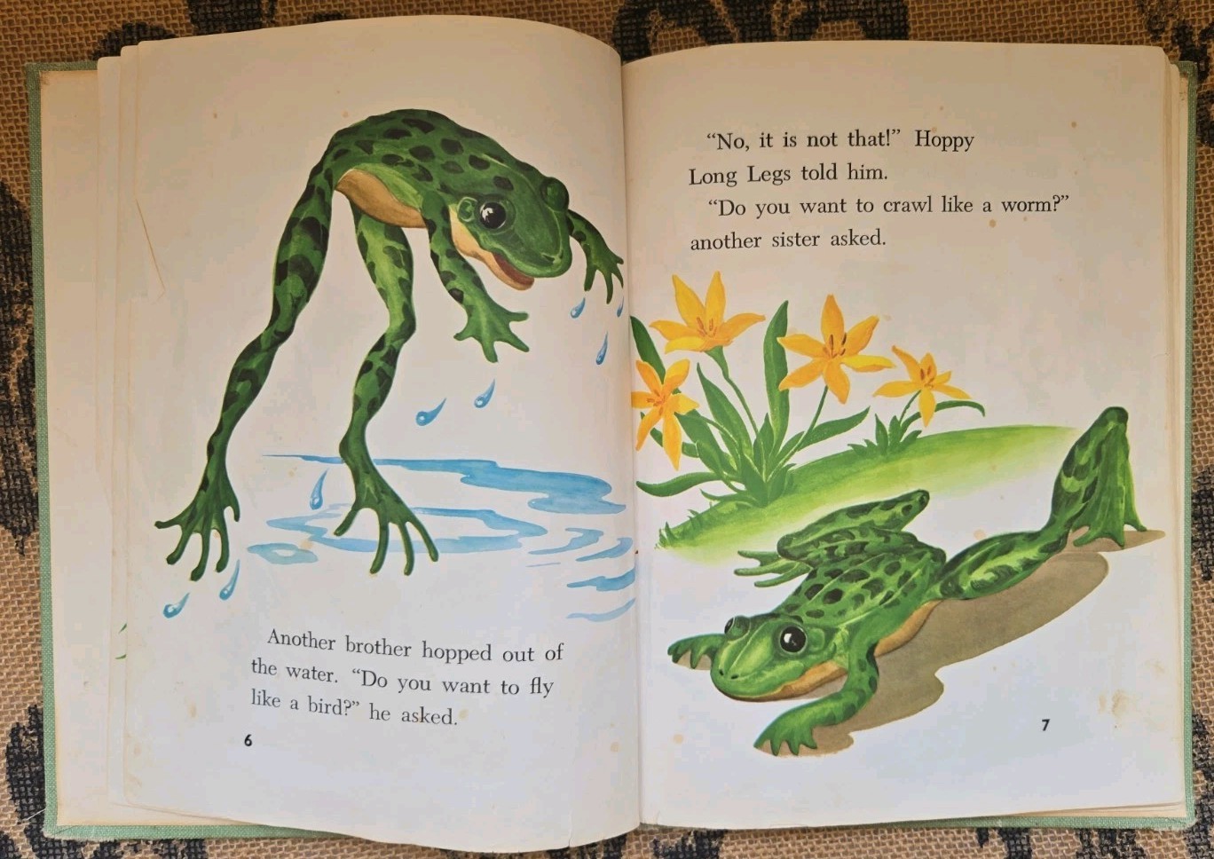 Stories about Frogs Childrens Book Lot Freddie the Frog, Hoppy Long Legs, Gorky