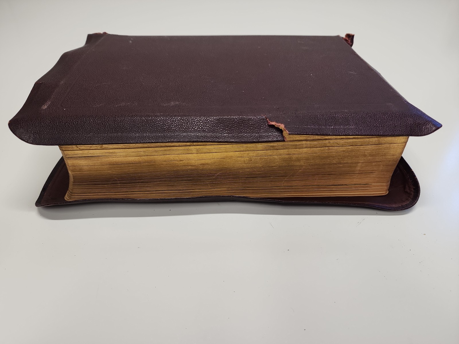 The Catholic Press Holy Family Edition of the Catholic Bible 1950 Rev O’Connel