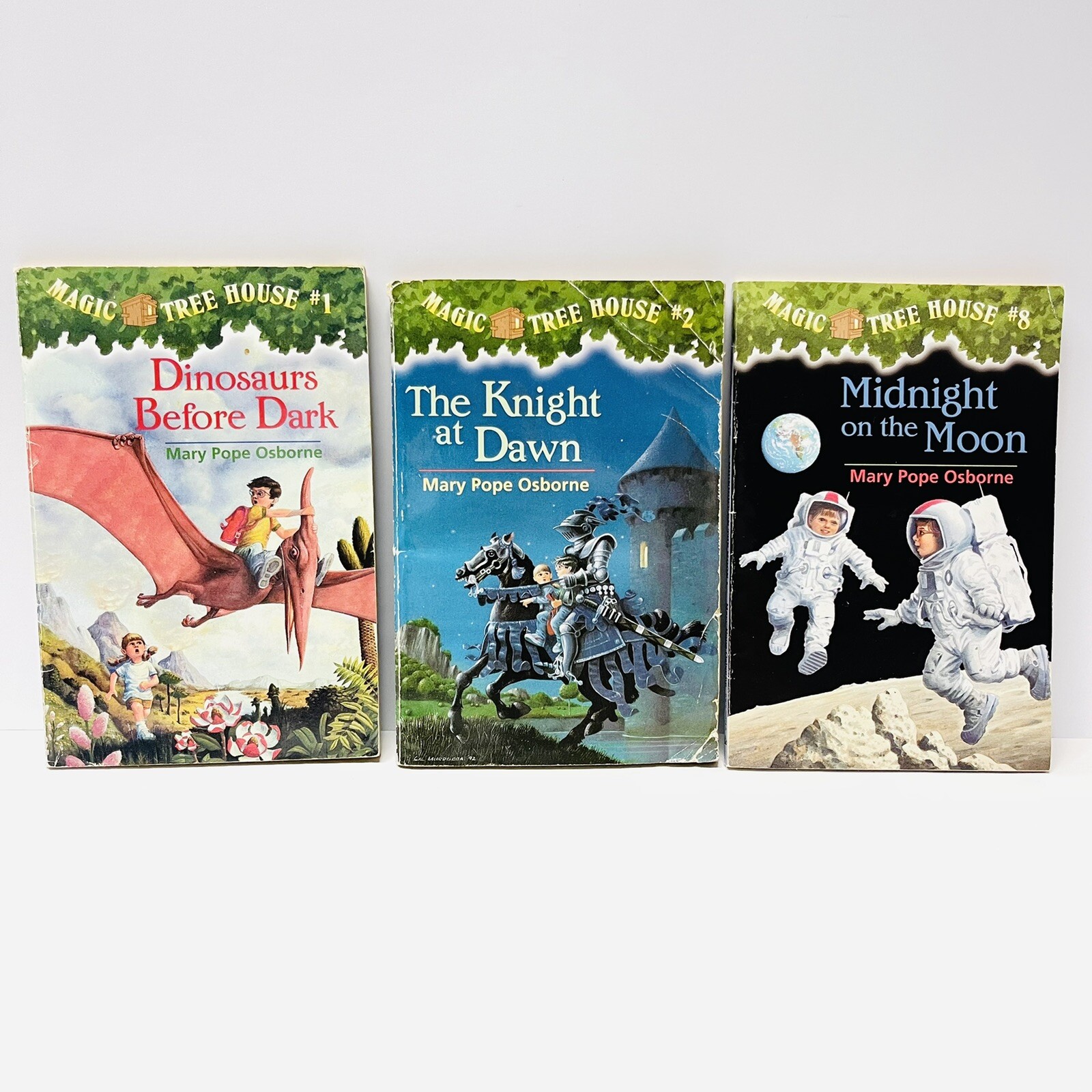 Lot Of 15 Magic Tree House Merlin Missions Series Paperback Books