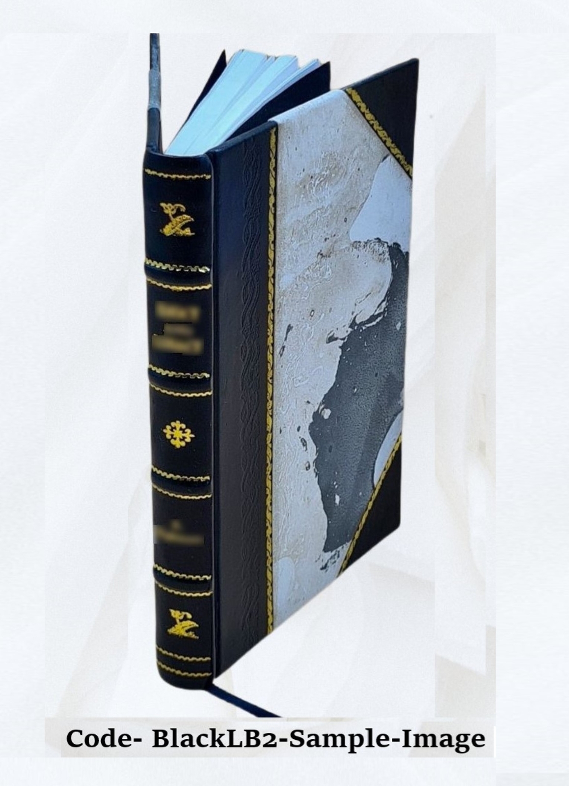 The Travis (Travers) Family And Its Allies : Darrocott, Lewis, L [Leather Bound]