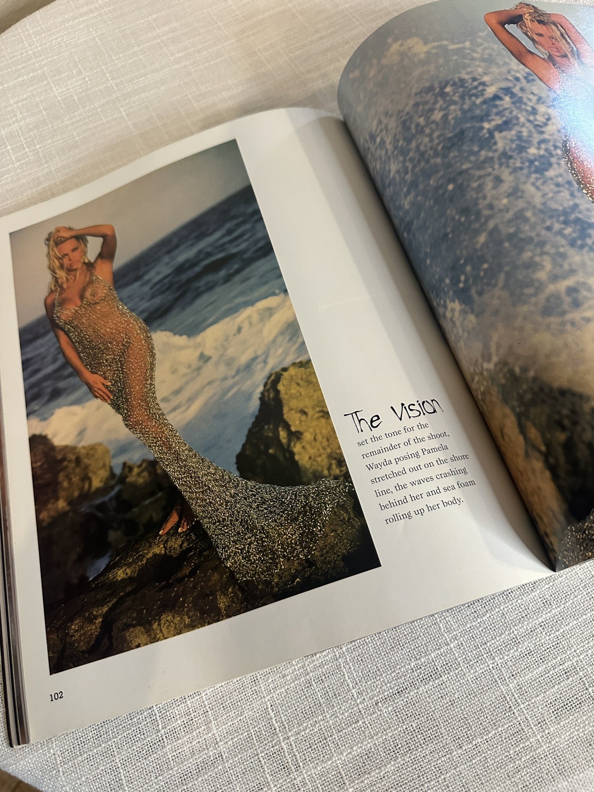 Pamela Anderson in Pictures -Paperback 1996 Photographs Stephen Wayda 159 pages