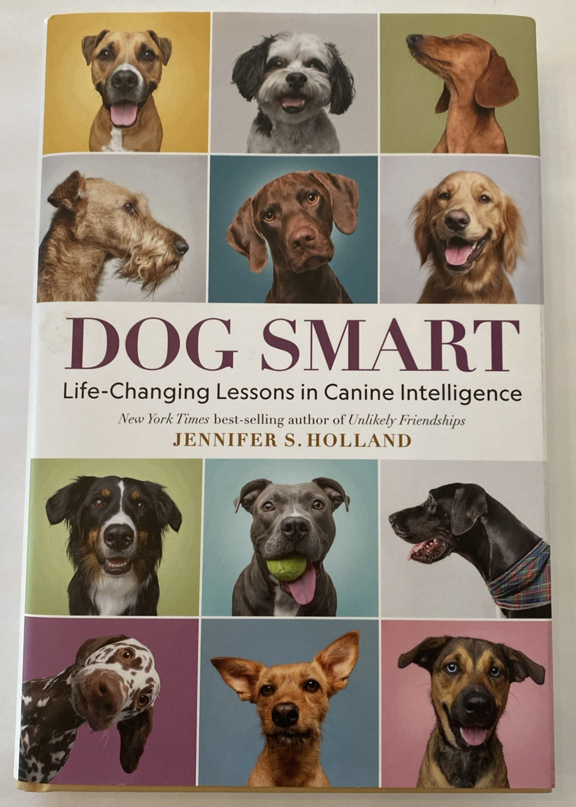 Dog Smart: Life-Changing Lessons – Hardcover, by Holland Jennifer S. – Very Good