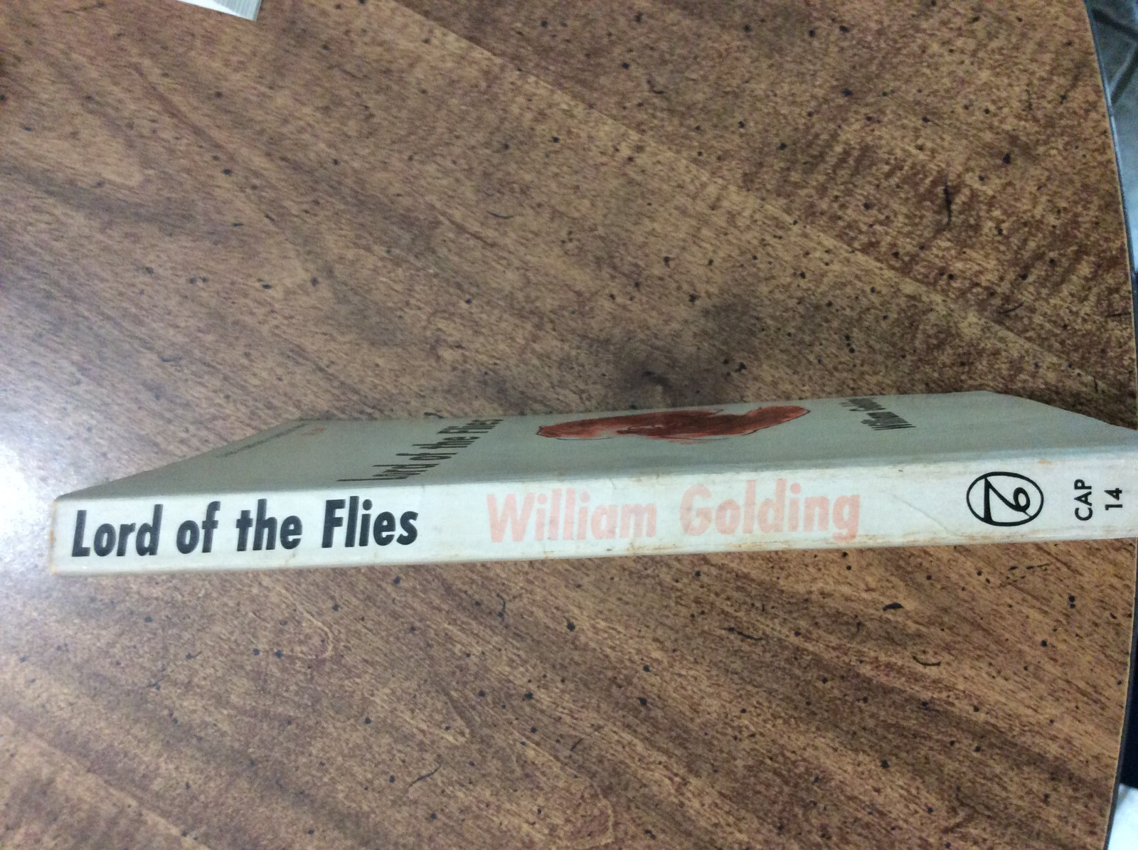 Lord of the Flies by William Golding. Capricorn paperback