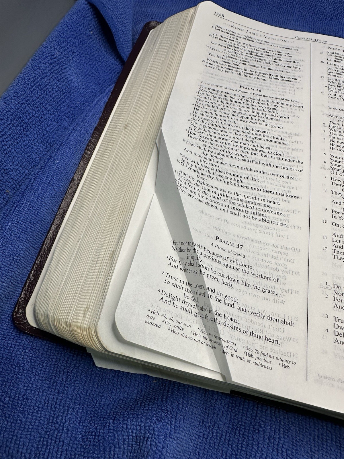 The CBD Parallel Bible, KJV NKJV NIV NLT, Burgandy Bonded Leather, Prince Press
