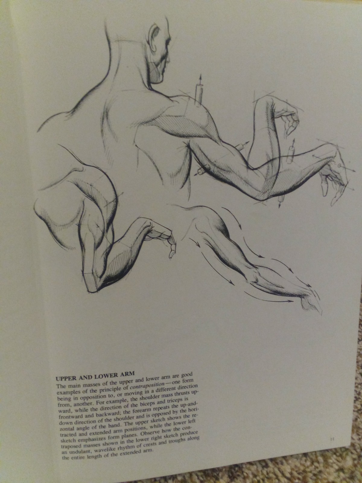 Drawing Dynamic Hands by Burne Hogarth (1977, Hardcover) Excellent 1st Printing