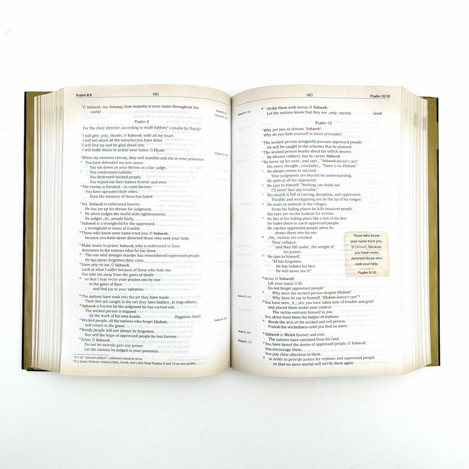 Names of God Bible by Ann Spangler (2011, Hardcover) – RARE