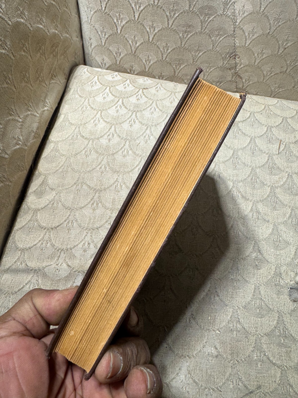 1923 Human Nature In The Bible Book By William Lyon Phelps