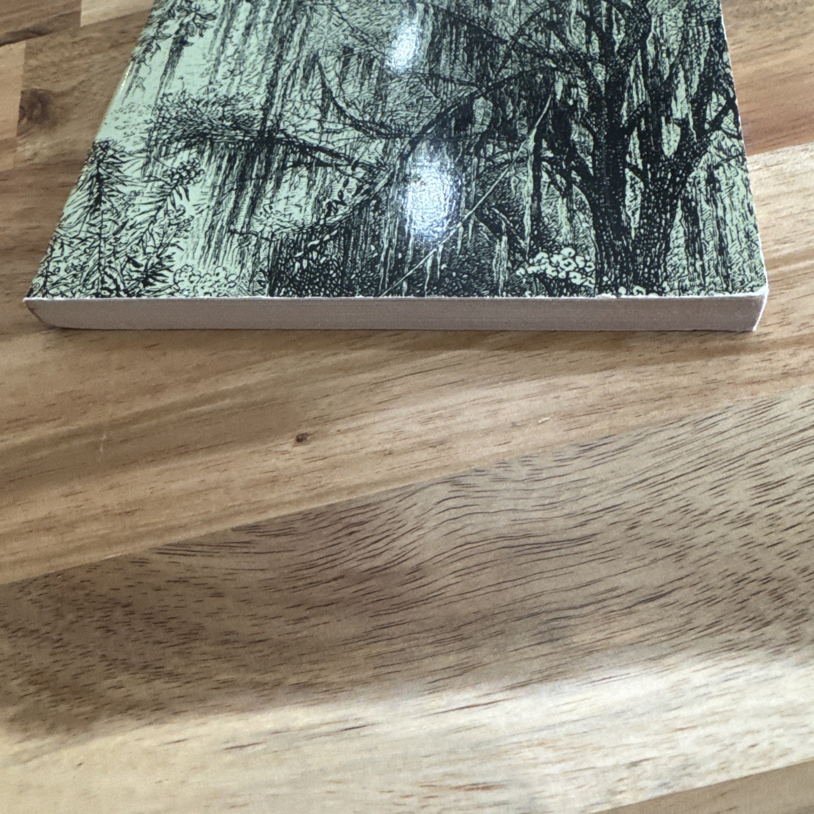 Awakening by Kate Chopin (1993, Trade Paperback)
