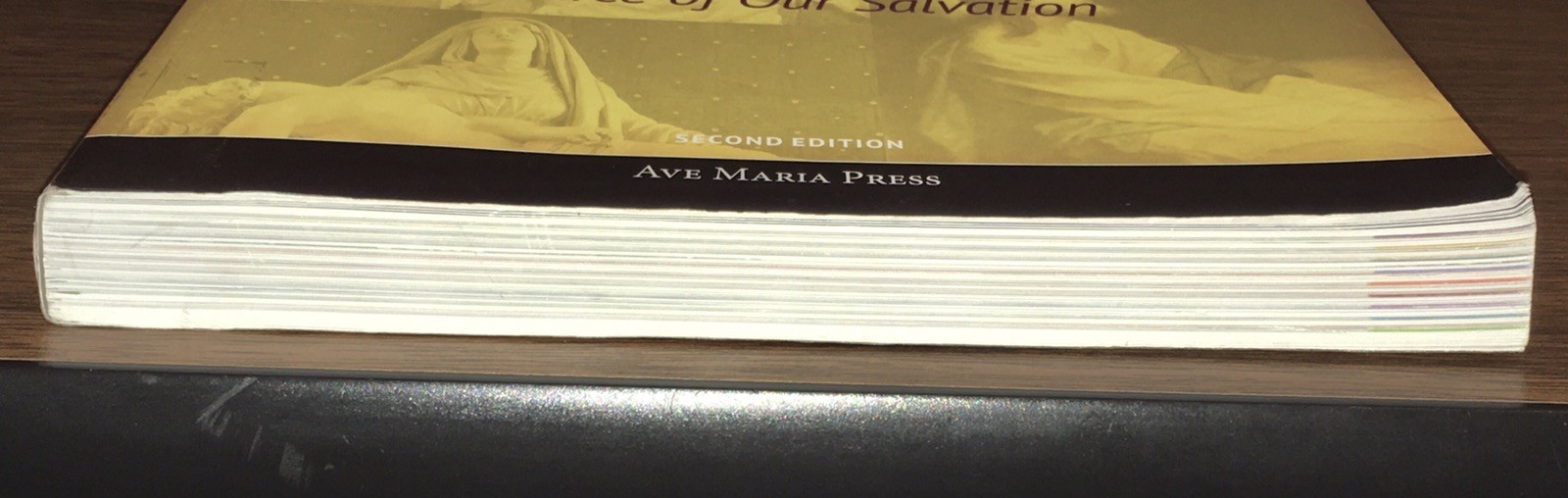Lot: 4 Ave Maria Press Encountering Jesus Series Books