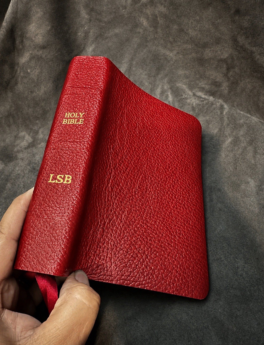 Lsb Legacy Standard Bible Portable Paragraph Reference Red Leather