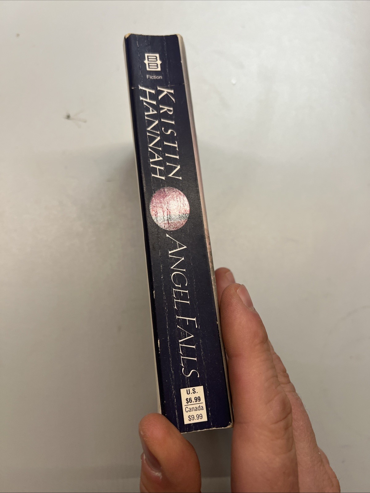 Angel Falls : A Novel by Kristin Hannah (2001, Mass Market)