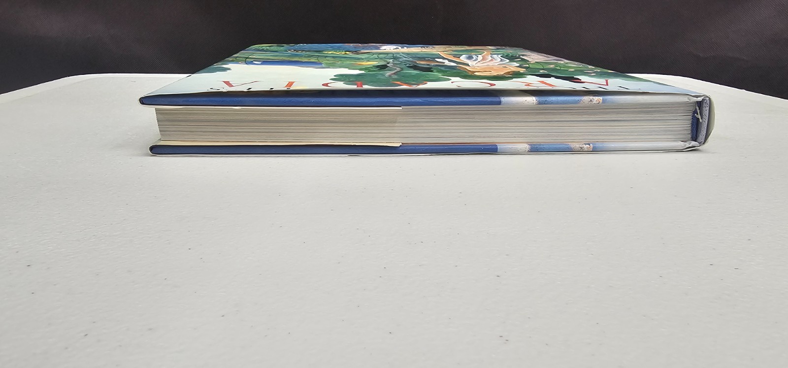 Thomas Mcknight’s Arcadia by Francesco Colonna Hardcover