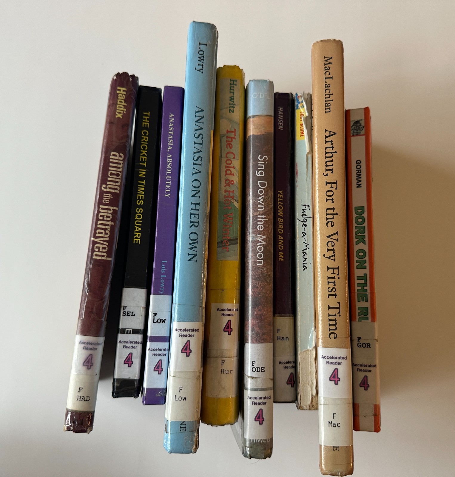 Lot of 10 Random 4th Grade Children’s Chapter Book Series – Elementary Library