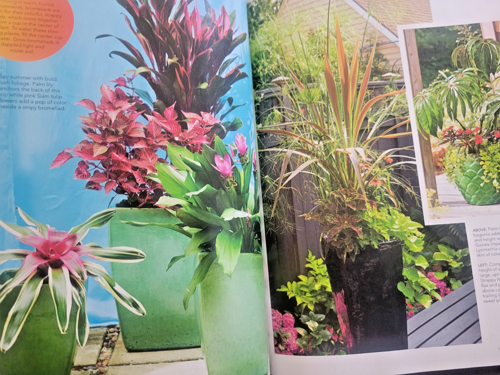 Container Gardening by BH&G – 100 Easy-Care Combos for Sun or Shade- Like A Pro