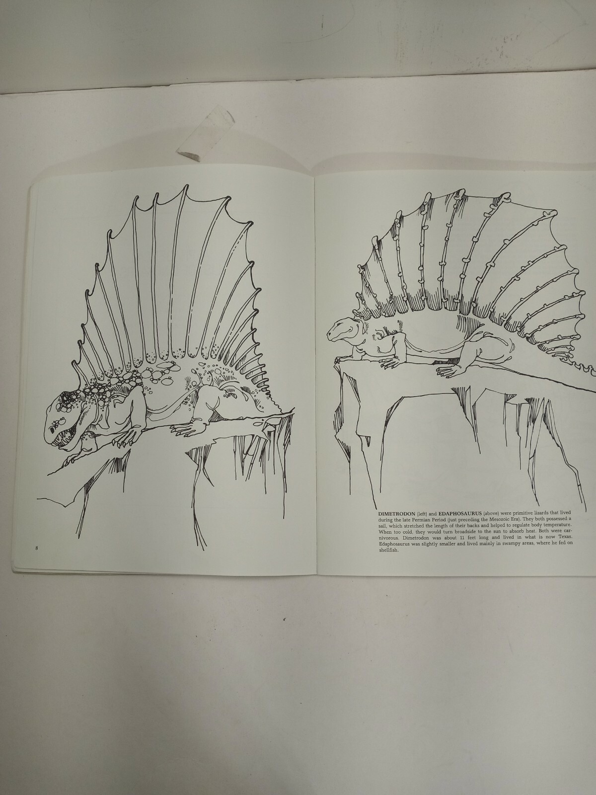 Vintage The Dinosaur Coloring Book by Anthony Rao Dover Publishing 46 Pgs 1980.