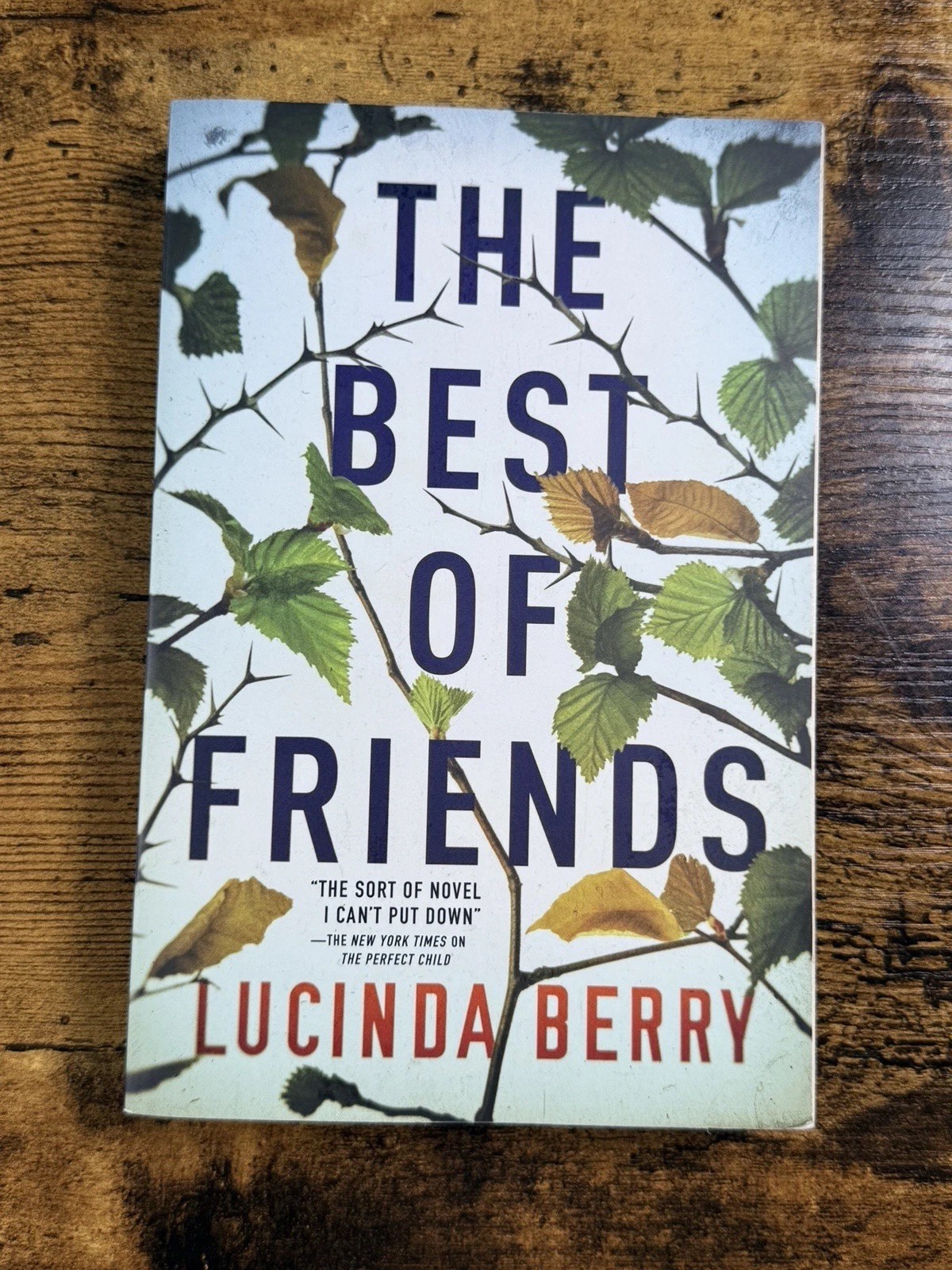The Best of Friends by Lucinda Berry Paperback 2020 Psychological Thriller⁠
