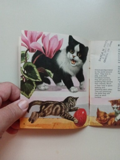 SCIMITAR NP Cats By Jill Hughes 1981 Paperback