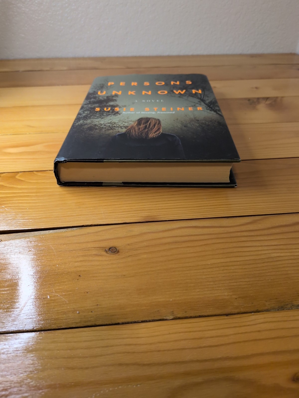 Persons Unknown by Susie Steiner (2017, Hardcover) First Edition First Printing