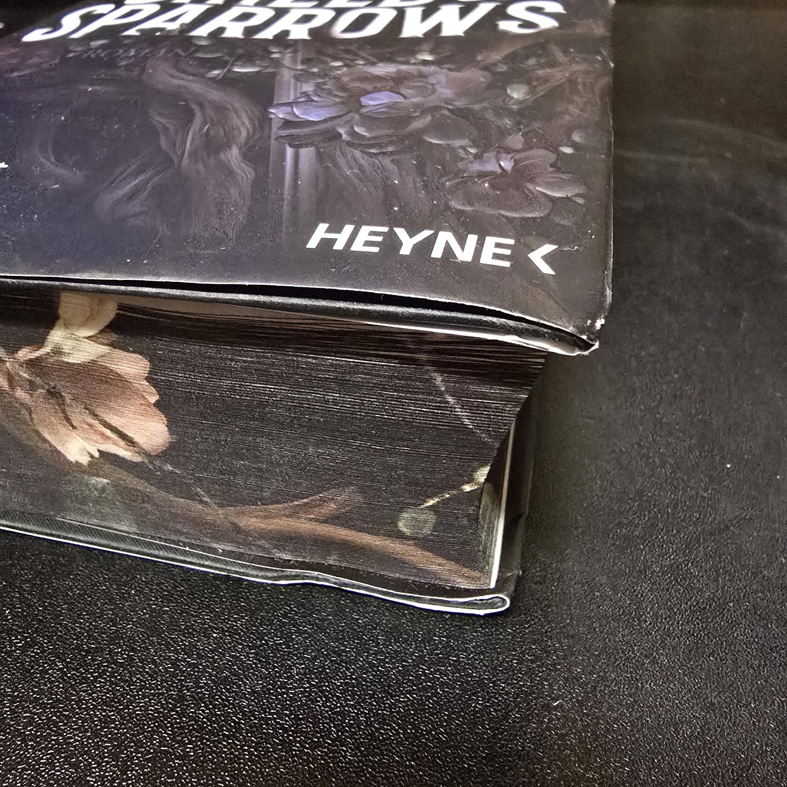 Devney Perry Pe Shield of Sparrows: Roman. Slow-burn Enem (Hardback)